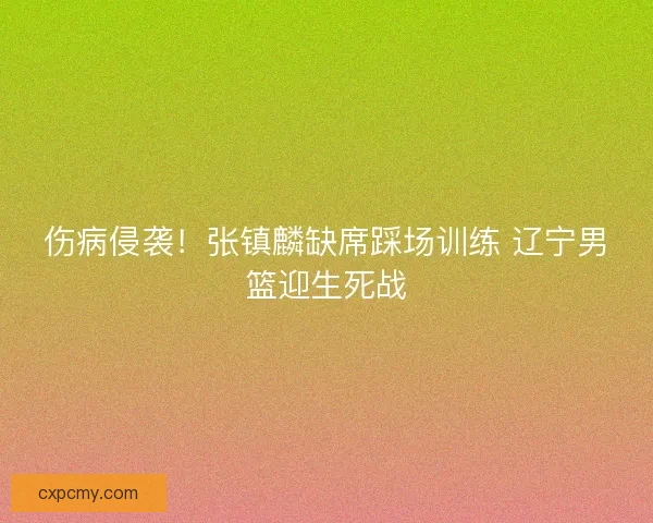 伤病侵袭！张镇麟缺席踩场训练 辽宁男篮迎生死战