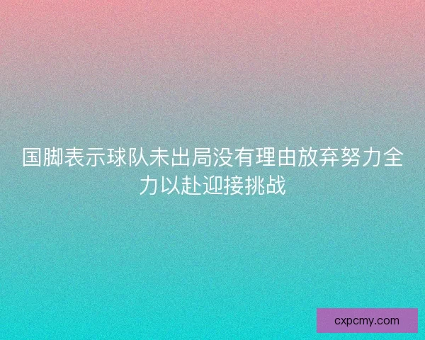 国脚表示球队未出局没有理由放弃努力全力以赴迎接挑战